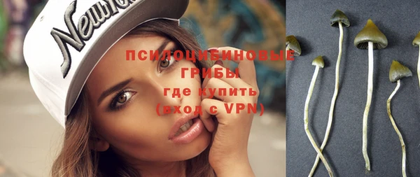 ГАЛЛЮЦИНОГЕННЫЕ ГРИБЫ Навашино
