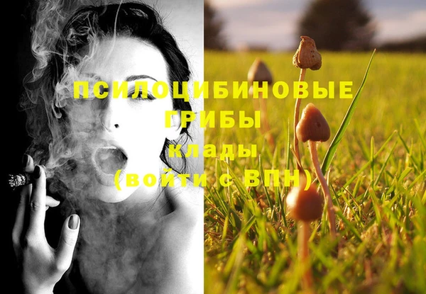герыч Алексин