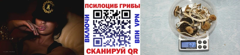 Псилоцибиновые грибы GOLDEN TEACHER  где можно купить   Каневская 